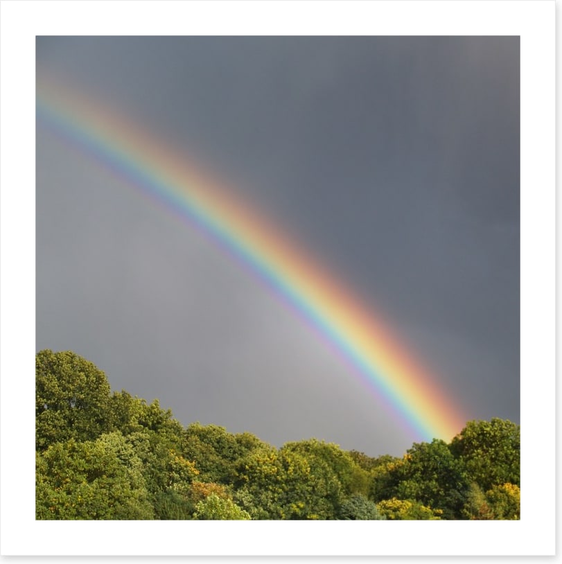 Rainbows