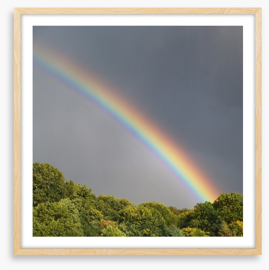 Rainbows
