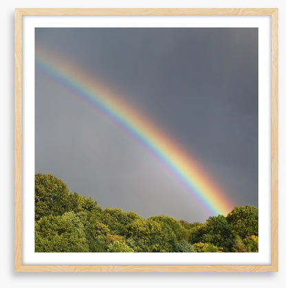 Rainbows