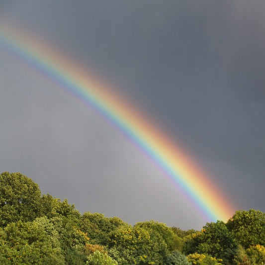 Rainbows