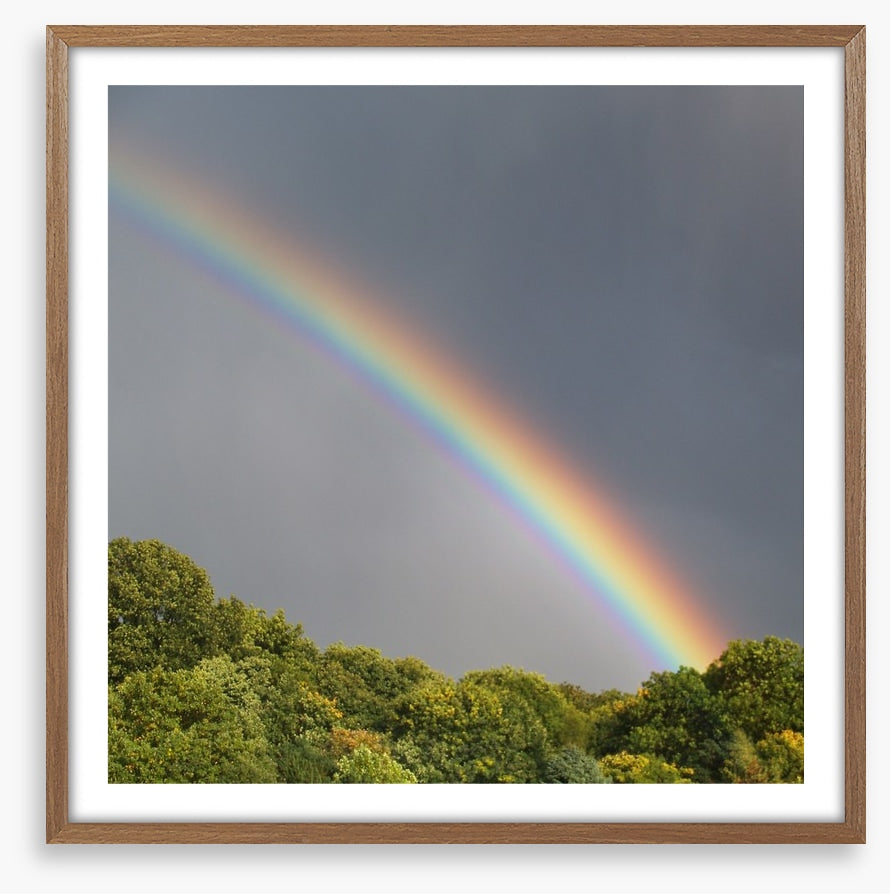 Rainbows