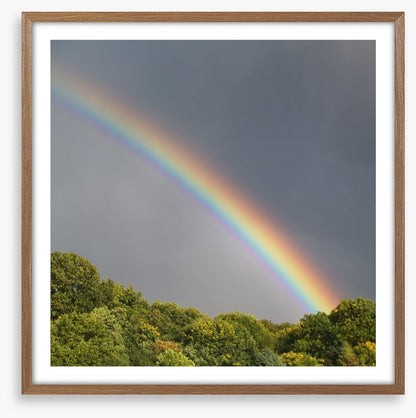 Rainbows