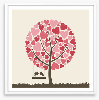 Birds of love