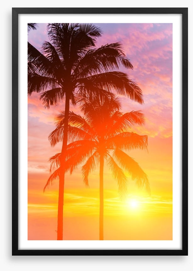 Palm tree sundown