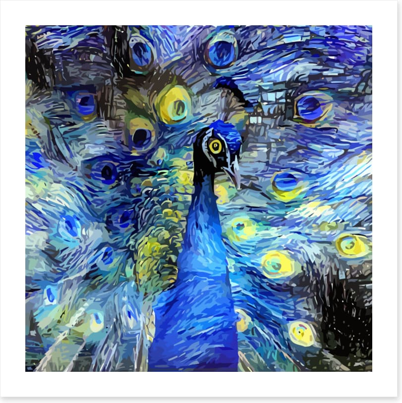 Starry night peacock