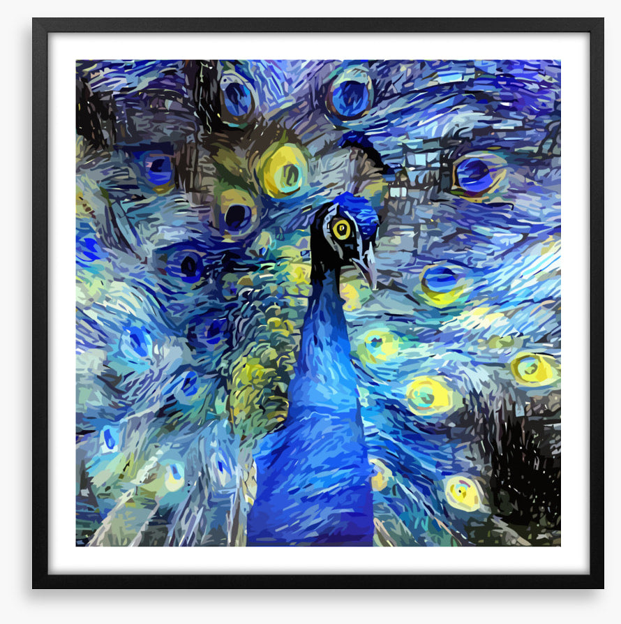 Starry night peacock