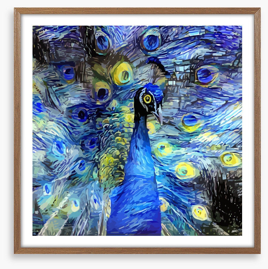 Starry night peacock