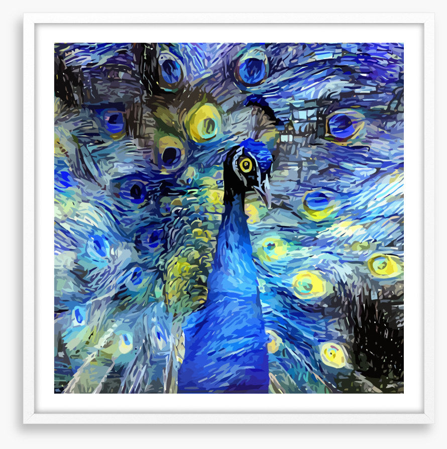 Starry night peacock
