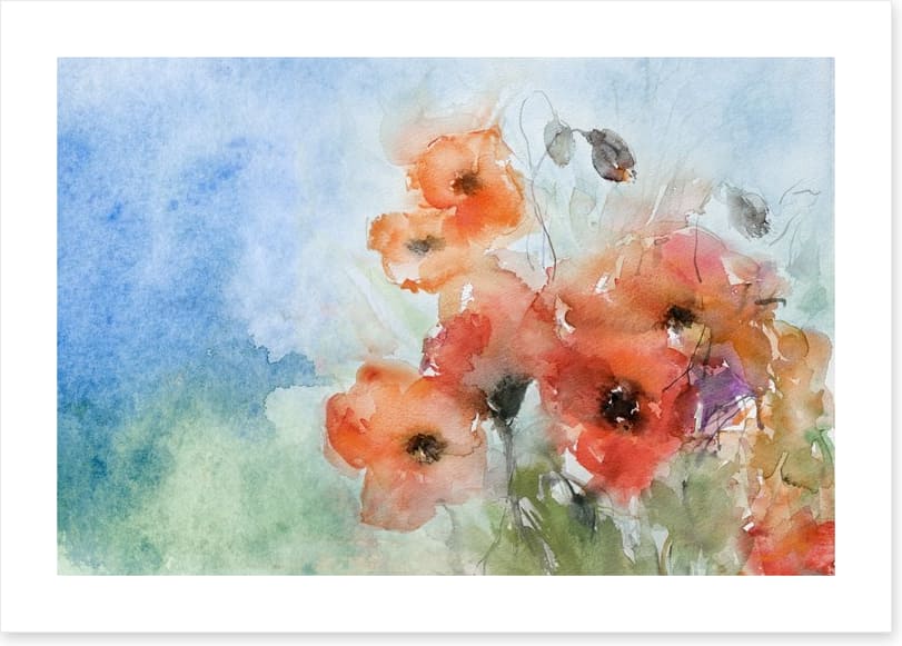 Poppies in the breeze