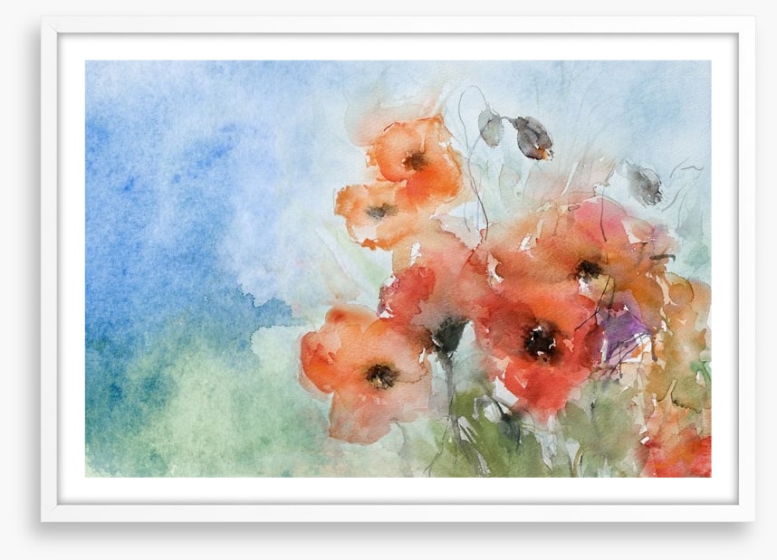 Poppies in the breeze
