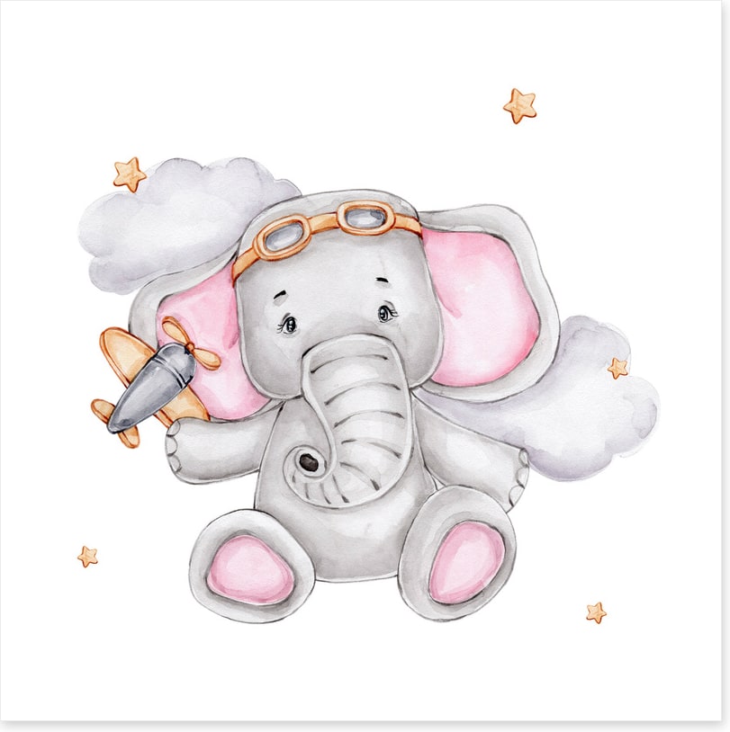 Elephants