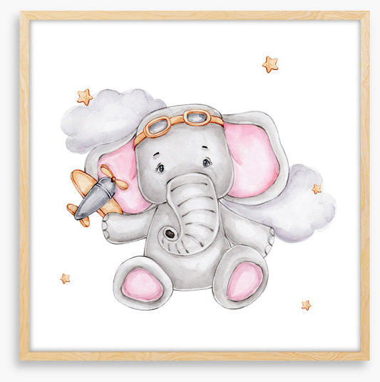 Elephants