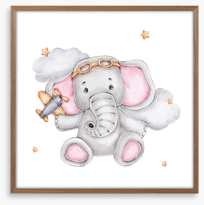 Elephants
