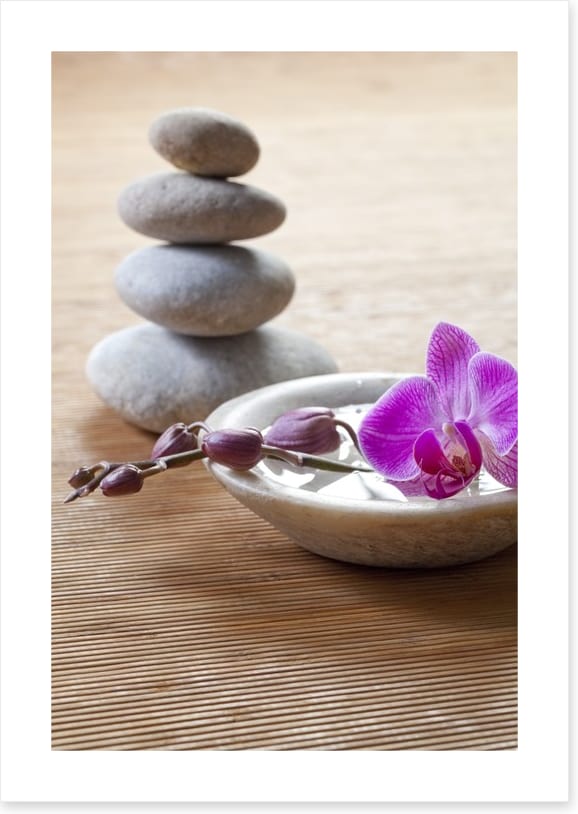 Pampering orchid
