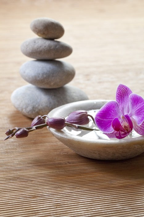 Pampering orchid