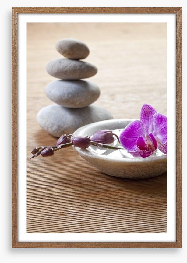 Pampering orchid