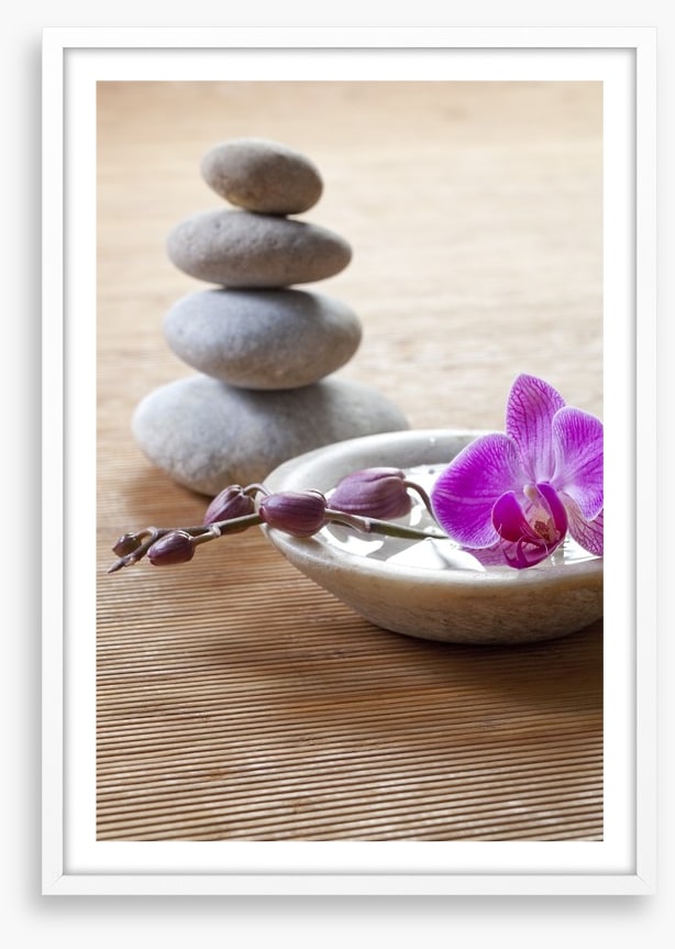 Pampering orchid