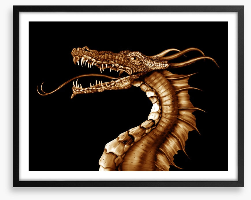 Dragons