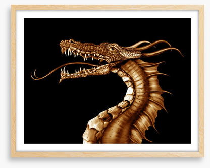 Dragons