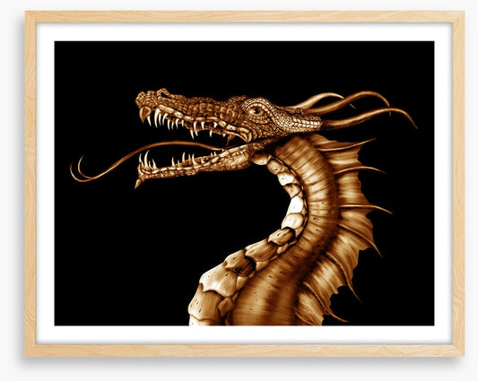 Dragons