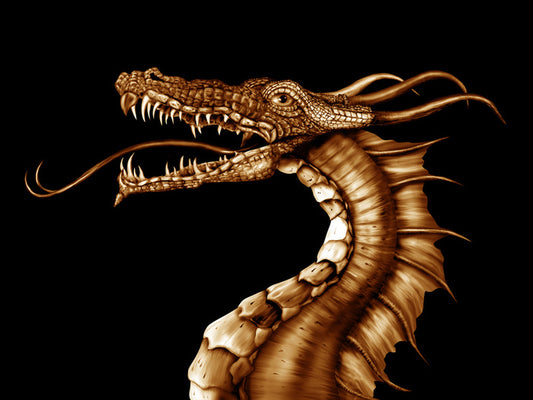Dragons