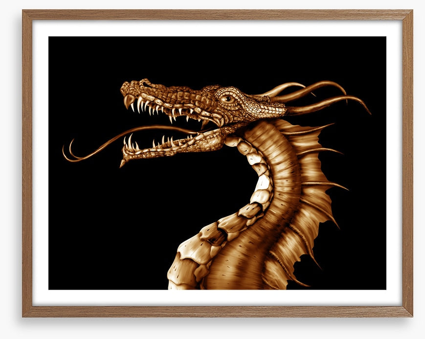 Dragons