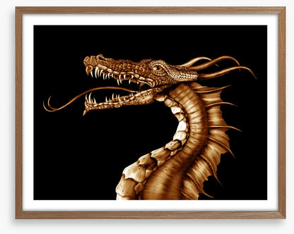 Dragons