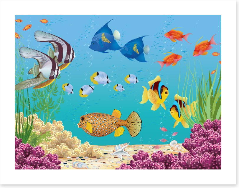 Under The Sea
