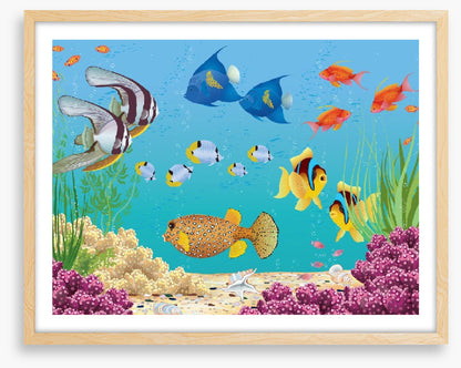 Under The Sea