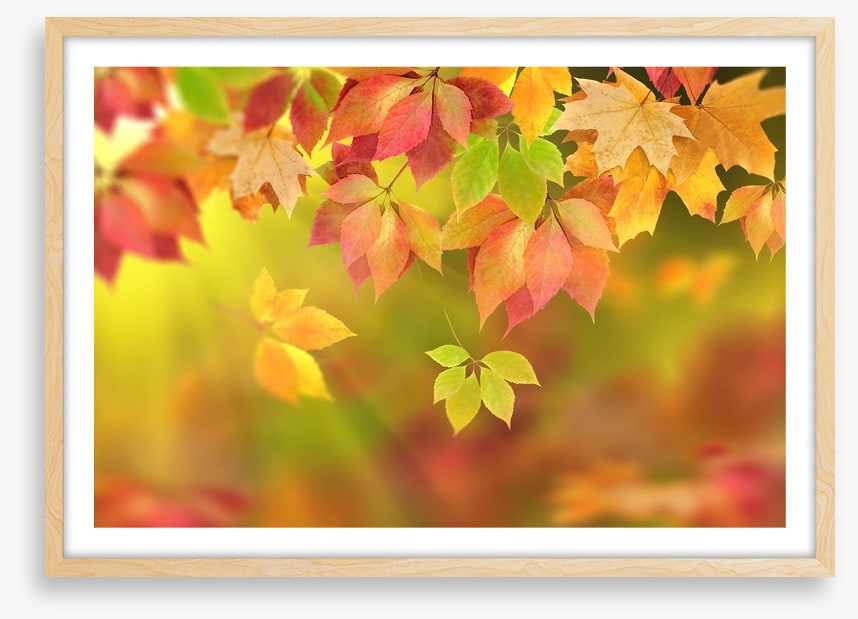 Fall