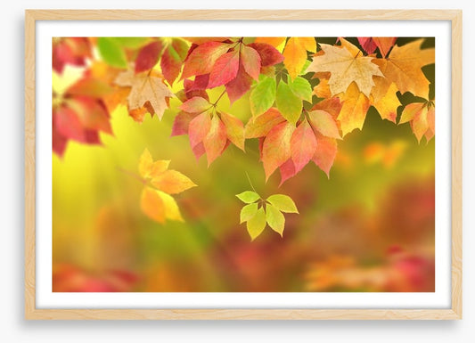 Fall