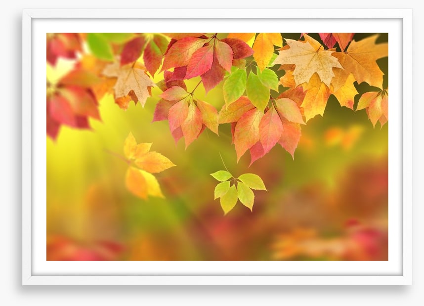 Fall