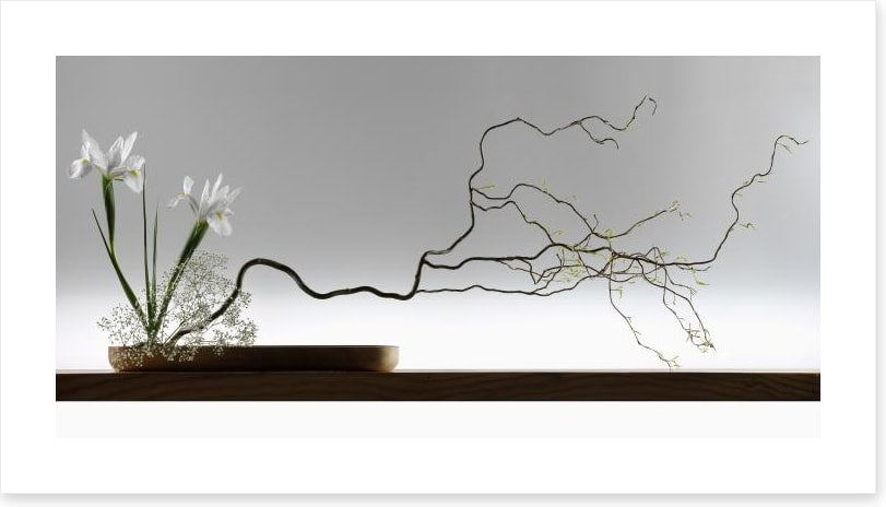 Ikebana