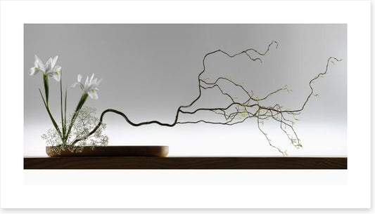 Ikebana