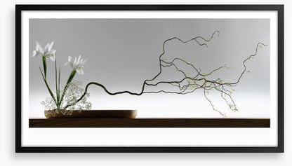 Ikebana