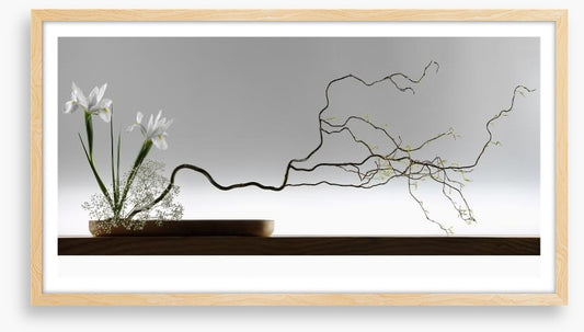 Ikebana