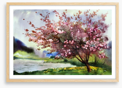Blossoming storm