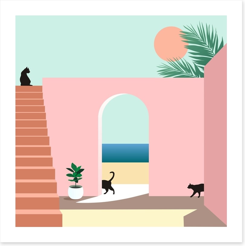 Black cat arch