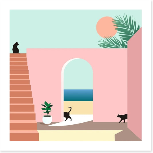 Black cat arch