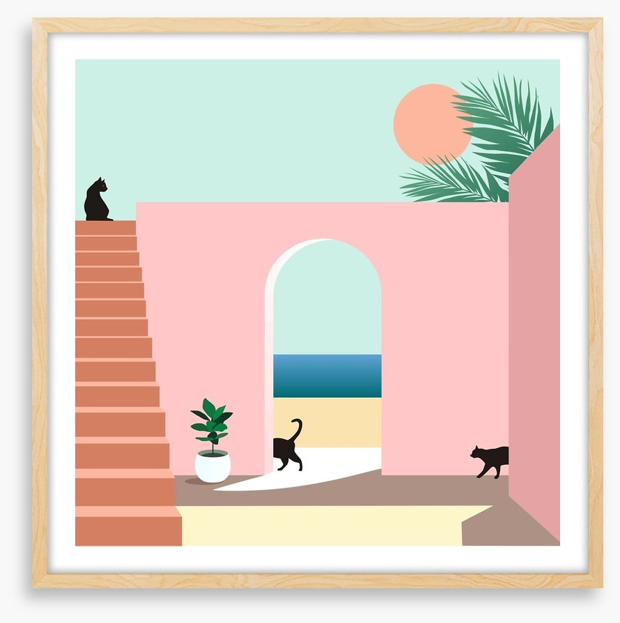 Black cat arch