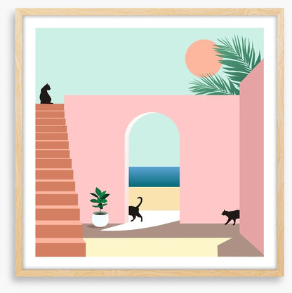 Black cat arch