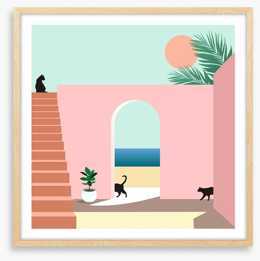 Black cat arch