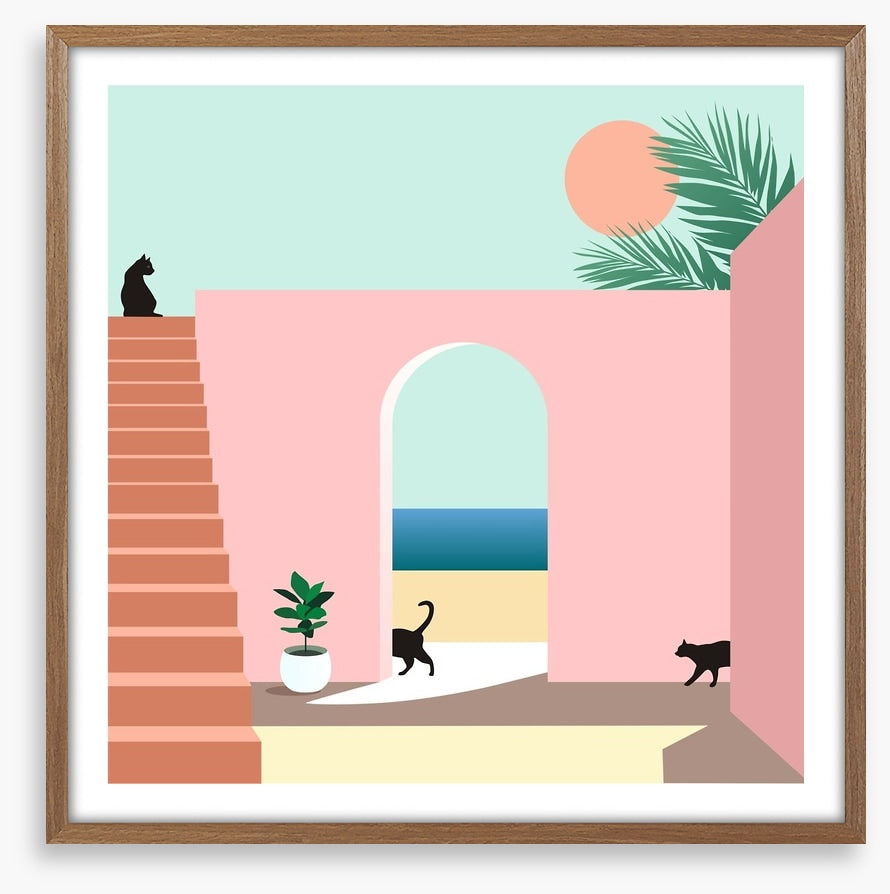 Black cat arch