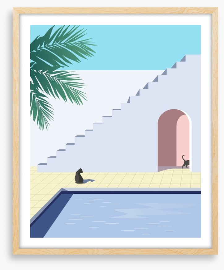 Black cat pool