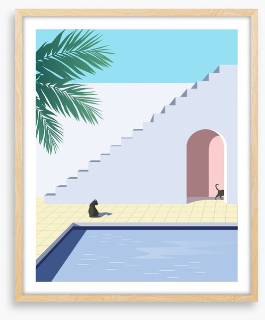 Black cat pool