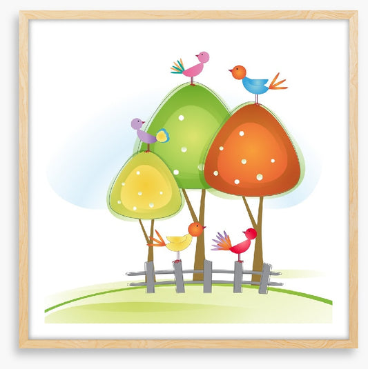 Fun Gardens