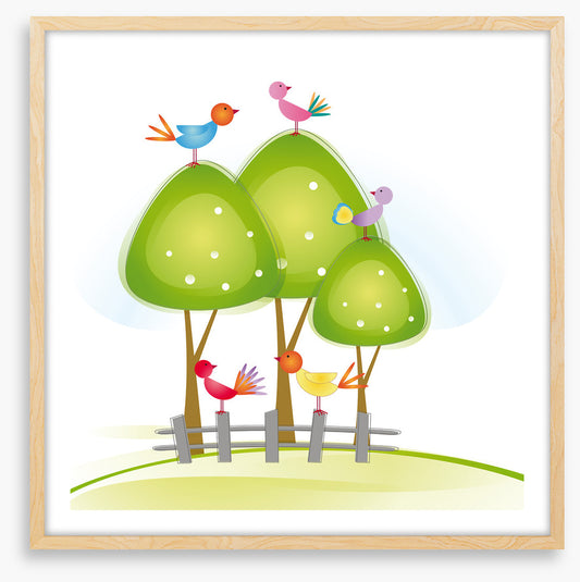 Green tree birds
