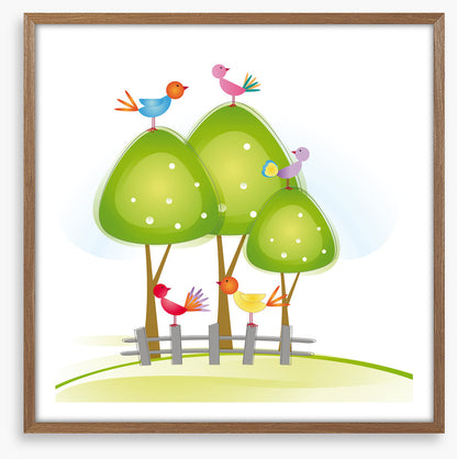 Green tree birds