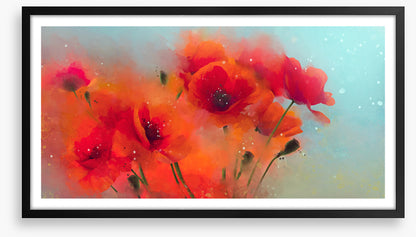 Poppy rain
