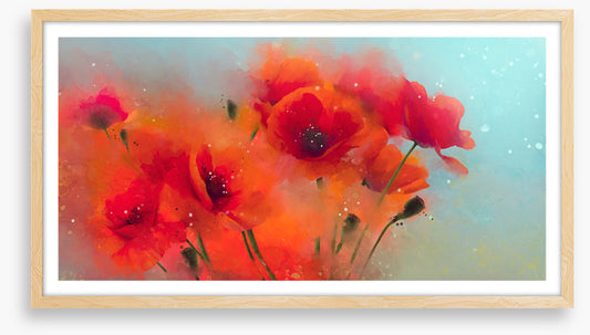 Poppy rain